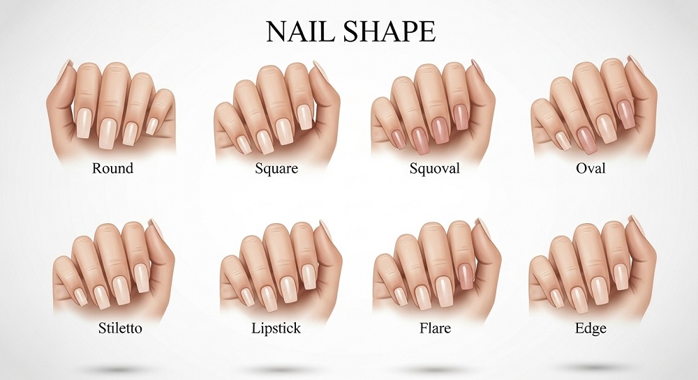 Nail Shapes